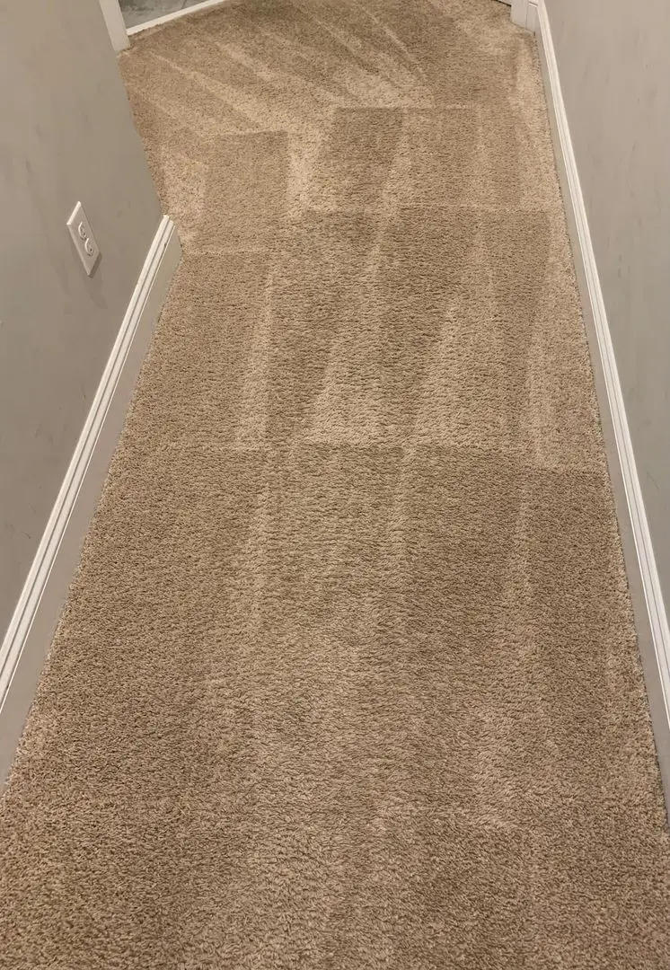 Carpet after a deep cleaning service
