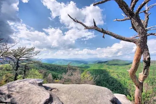 Eagle Rock